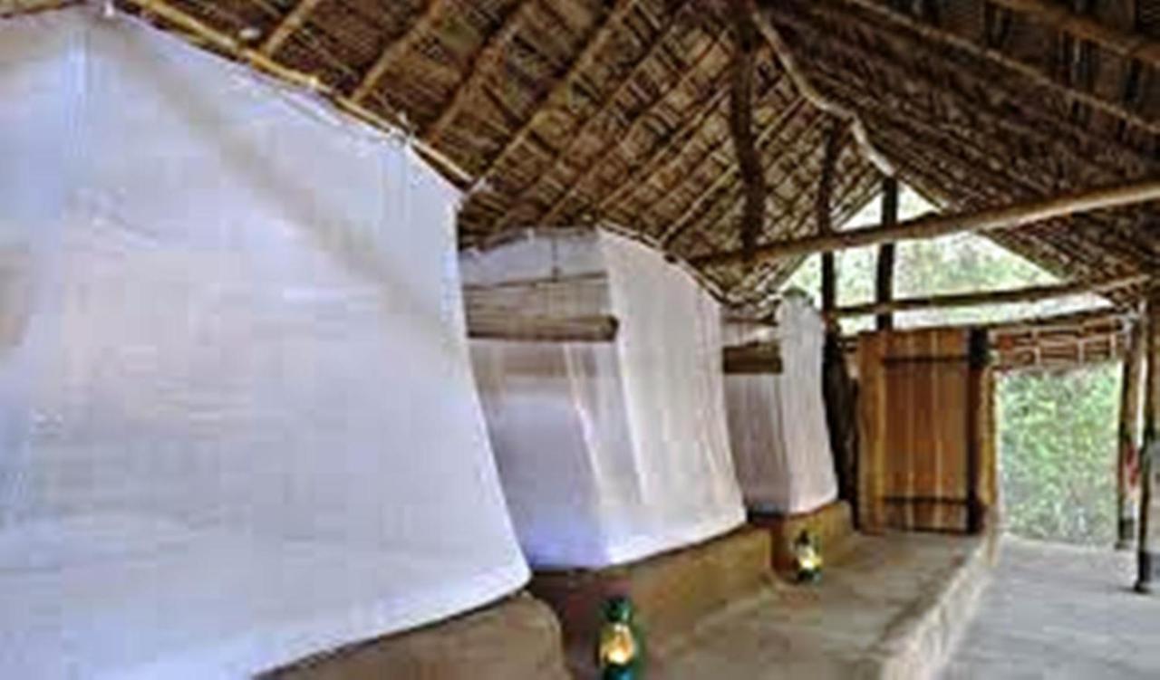 Greenwood Udawalawa Safari Resort Udawalawe Bagian luar foto