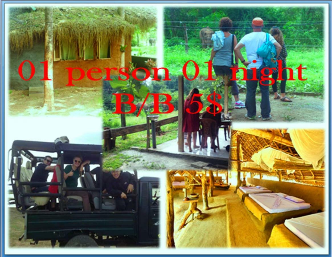 Greenwood Udawalawa Safari Resort Udawalawe Bagian luar foto